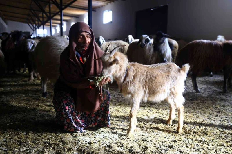 Gümüşhaneli kadınlar bileziklerini bozdurup hayvancılığa yatırım yaptı
