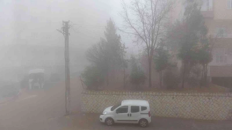 Mardin’de yoğun sis, göz gözü görmüyor
