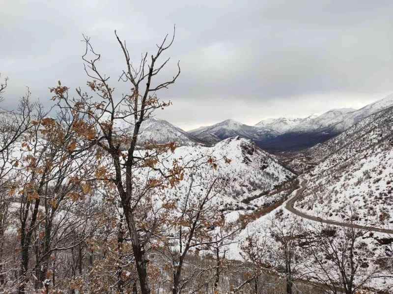Tunceli’de kapalı bulunan 41 köy yolunun ulaşıma açılma çalışmaları sürüyor
