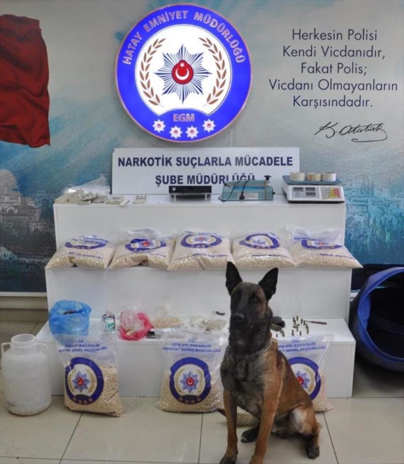 Ödüllü narkotik köpeği 