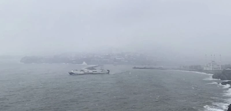 Yük gemileri dalgalarla boğuştu
