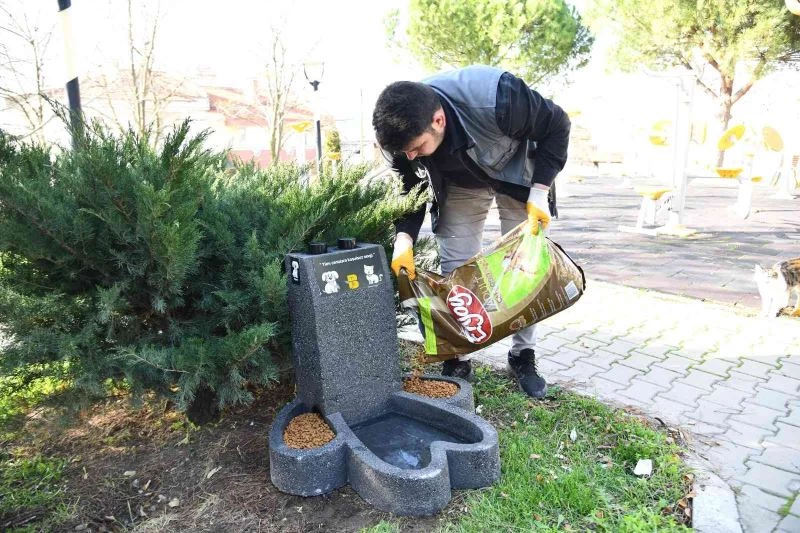Can dostların mamaları ‘patiler’ sayesinde ıslanmayacak
