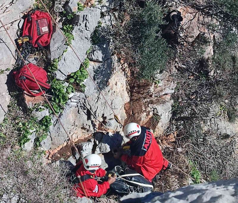 Marmaris AKUT’tan keçi kurtarma operasyonu
