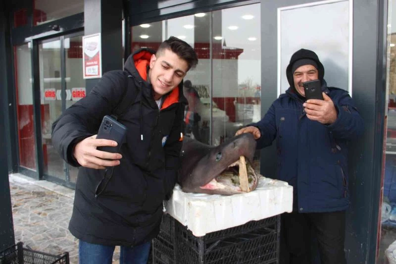 Bu balığı gören Erzurumlular telefonuna sarıldı
