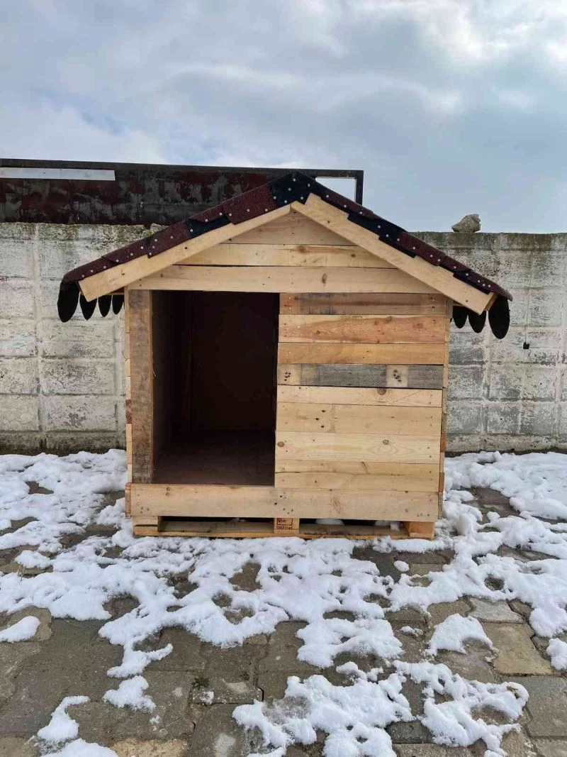 Sokak hayvanları ‘Bizim Sokağın Çocukları’ projesiyle güvende olacak
