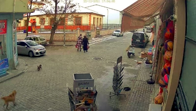Otomobilin yavru köpeği ezdiği anlar saniye saniye görüntülendi
