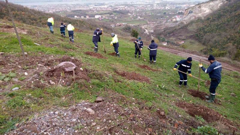 Büyükşehirden Gölcük Hisareyn’e bal ormanı
