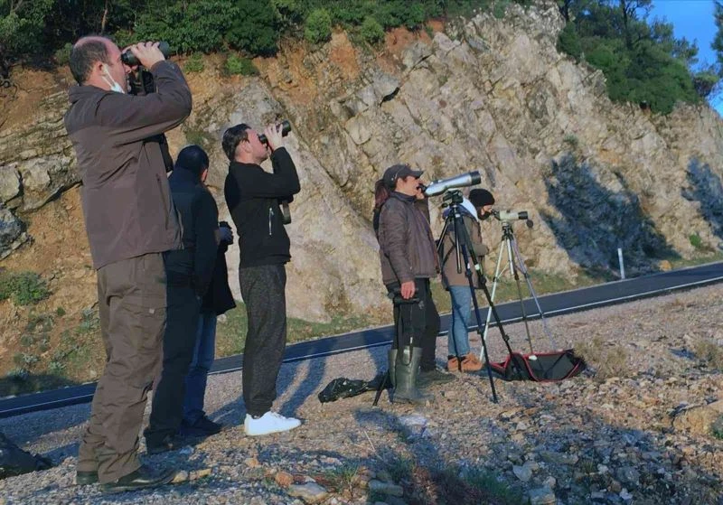 Datça’da yaban keçisi envanteri çalışması
