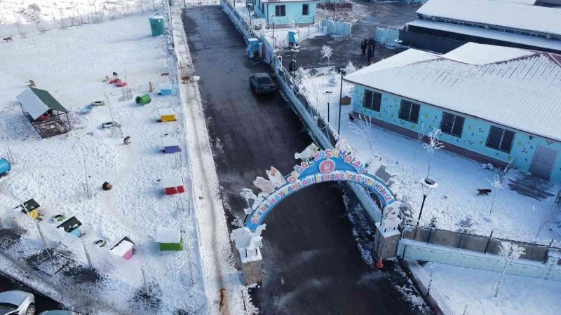 Keçiören, modern rehabilitasyon merkeziyle canlılara yuva oluyor
