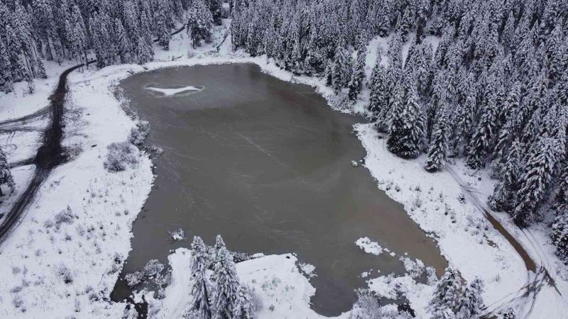 Orman manzaralı Sarıçiçek Göleti buz tuttu
