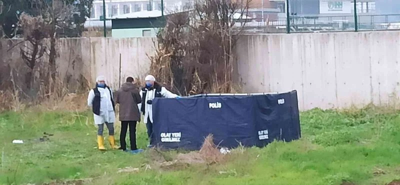 Bursa’da yarısı köpekler tarafından parçalanmış erkek cesedi bulundu

