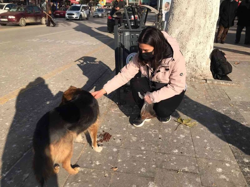 Harçlığından biriktirdiği paralarla sokak hayvanlarını besliyor
