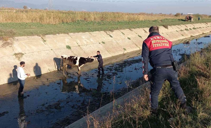 Firar eden düvenin başına gelmeyen kalmadı
