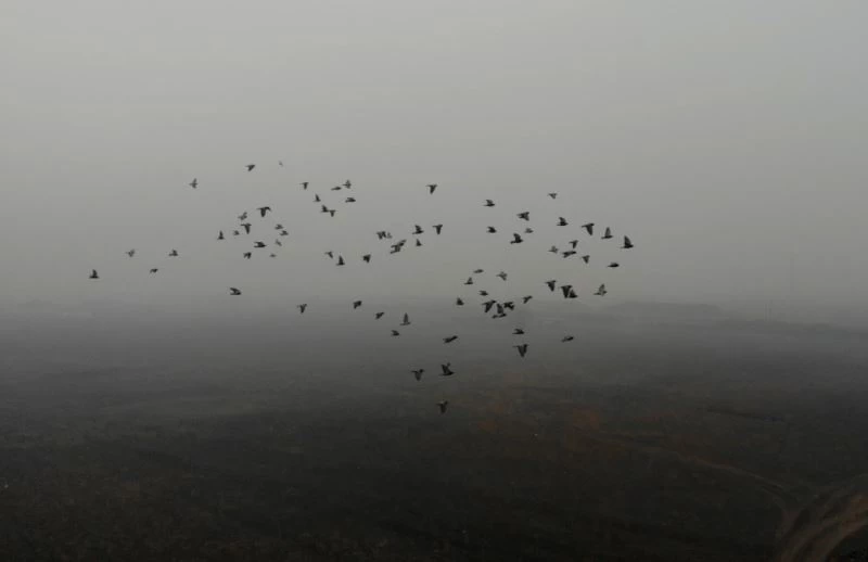 Doğunun Çukurova’sı soğuk hava ve sise teslim oldu
