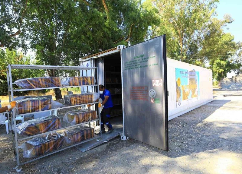 ‘Temiz petek projesi’ arıcıların yüzünü güldürdü
