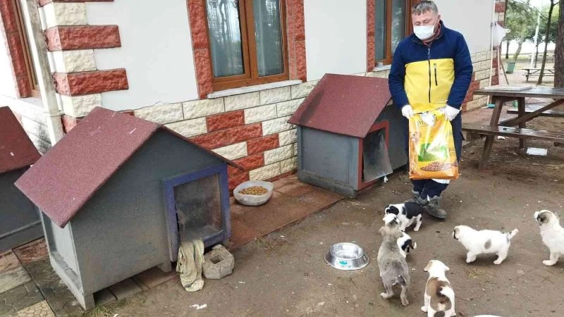 Fatsa belediyesi can dostların yanında
