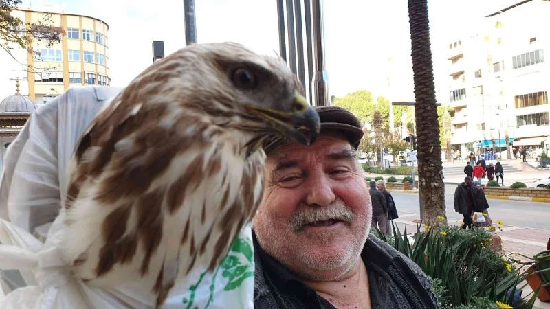 Bitkin haldeki şahini kurtaran vatandaş: 