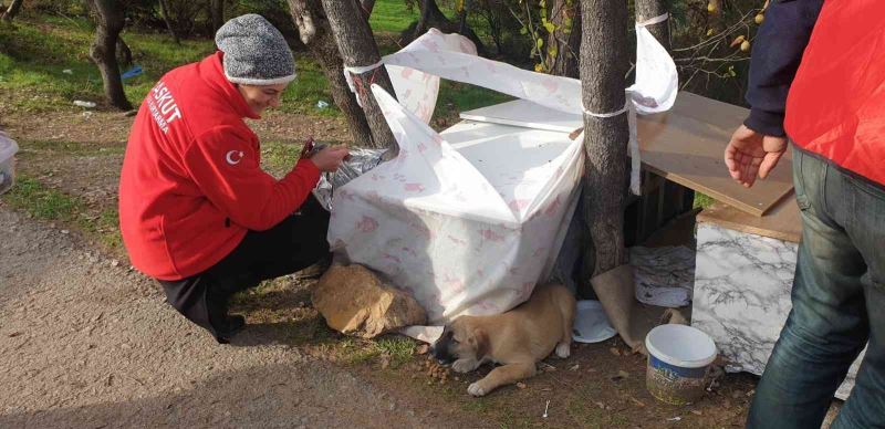 Fabrika atıkları can dostlarına yuva oluyor
