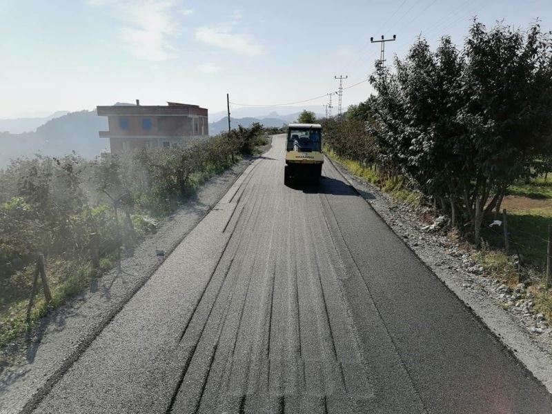 Ordu’da asfalt rekoru: 30 ayda 1500 km asfalt ve beton yol
