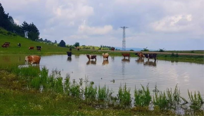 Çıldır değil Sinop: Buz tutan gölde bisiklet sürüp semaver yaptılar
