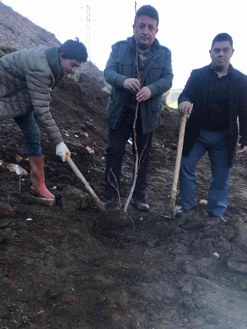 ASAD’dan fidan dikim etkinliği
