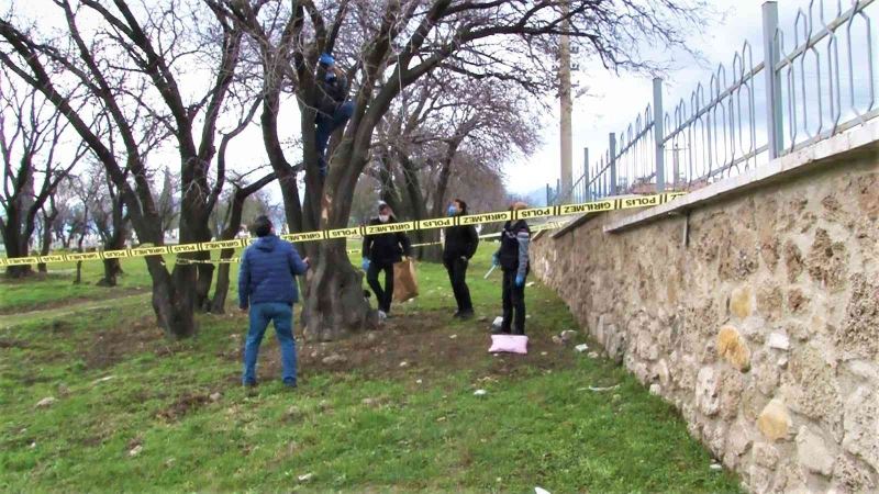 İpten alıp kalp masajıyla hayata tutundurdular
