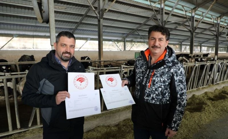 Hastalıktan ari işletme belgelendirildi
