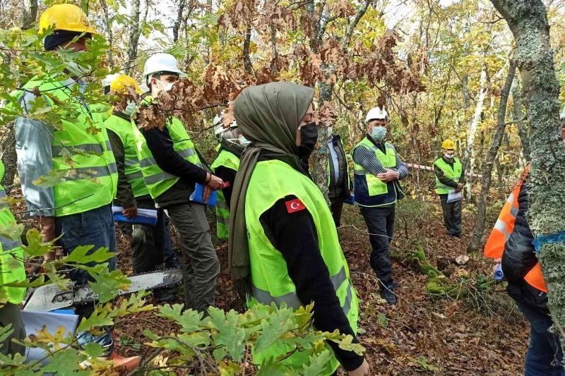 Ormanlarda uygulamalı eğitim
