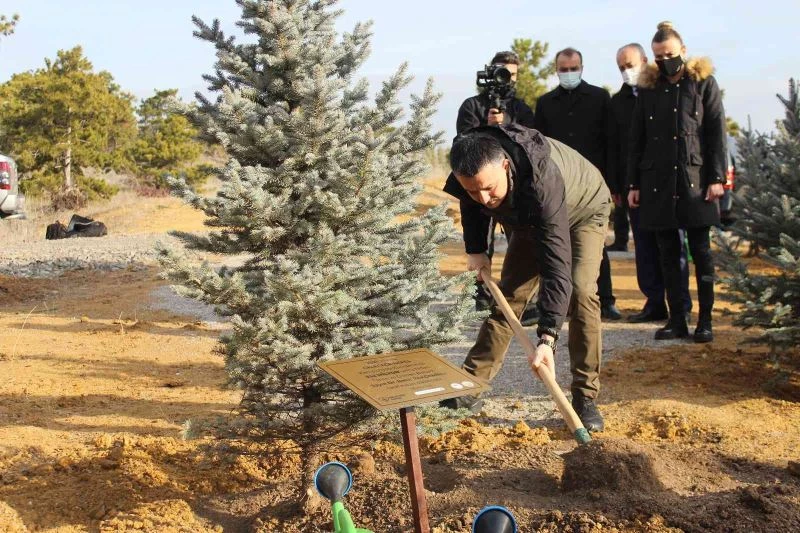 Bakan Pakdemirli, 252 milyonuncu fidanı toprakla buluşturarak can suyu verdi.
