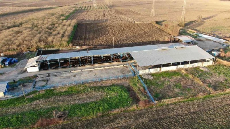 Mozzarella peynirini artık Sakarya üretecek
