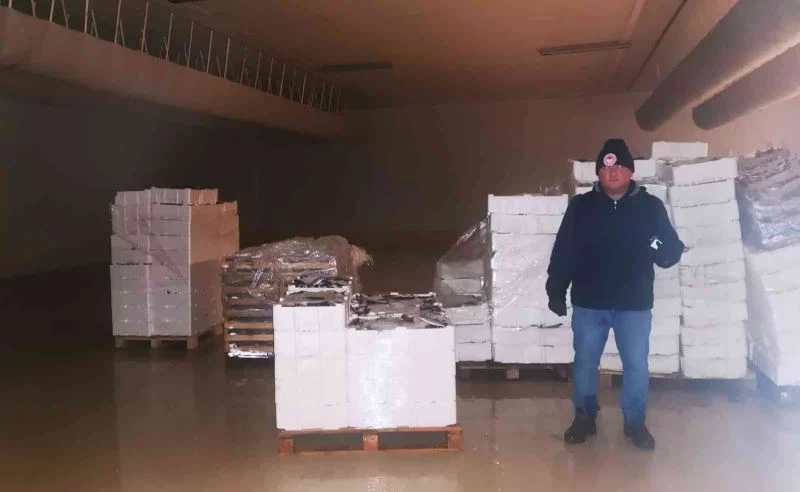 Gürpınar Su Ürünleri Halinde 6 ton balığa el konuldu
