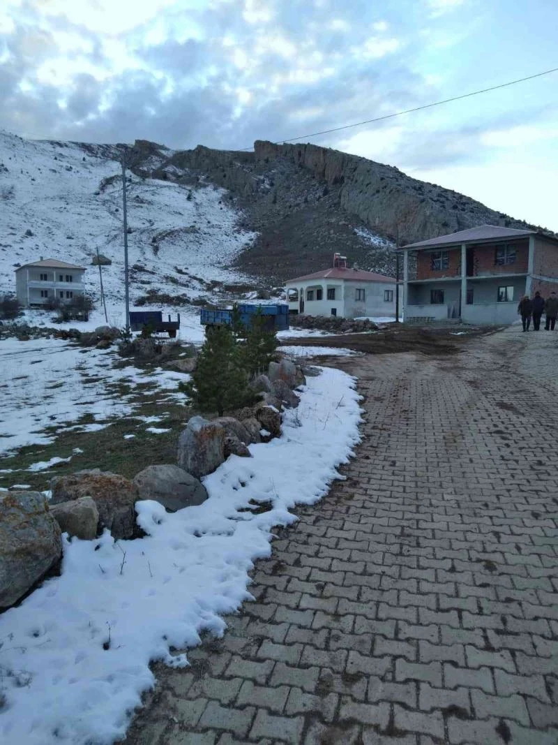 Ayıdan kaçarken yaralandı
