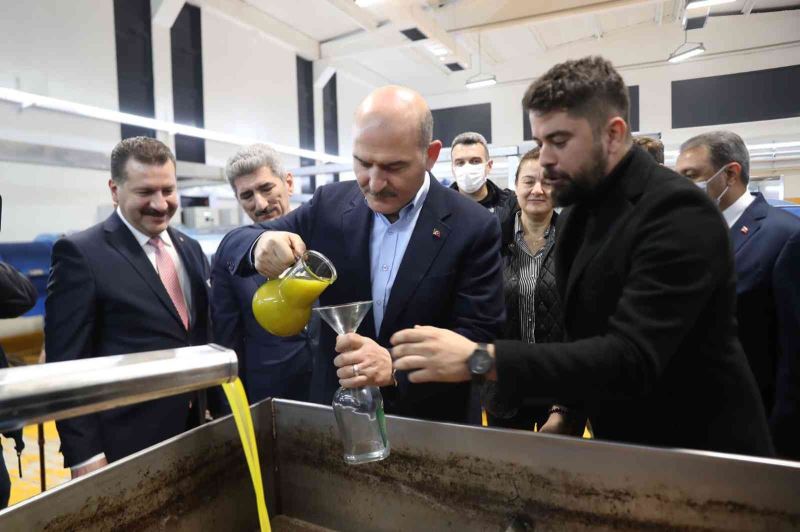 Bakan Soylu zeytinin zeytinyağına ait serüveni izledi
