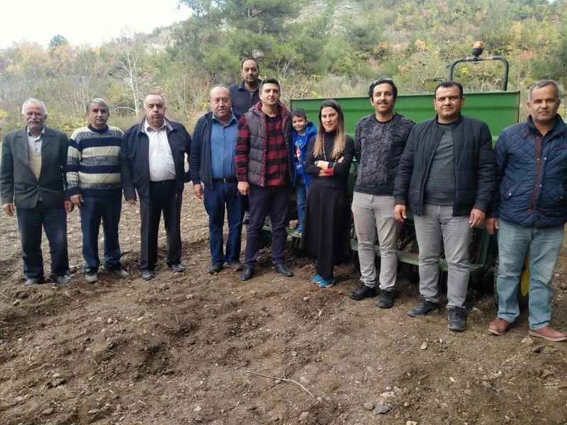 Erzin’de ata tohumu karakılçık buğdayı toprakla buluştu
