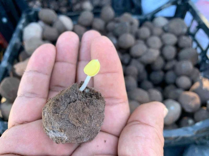 2 bin tohum topunu doğayla buluşturdular
