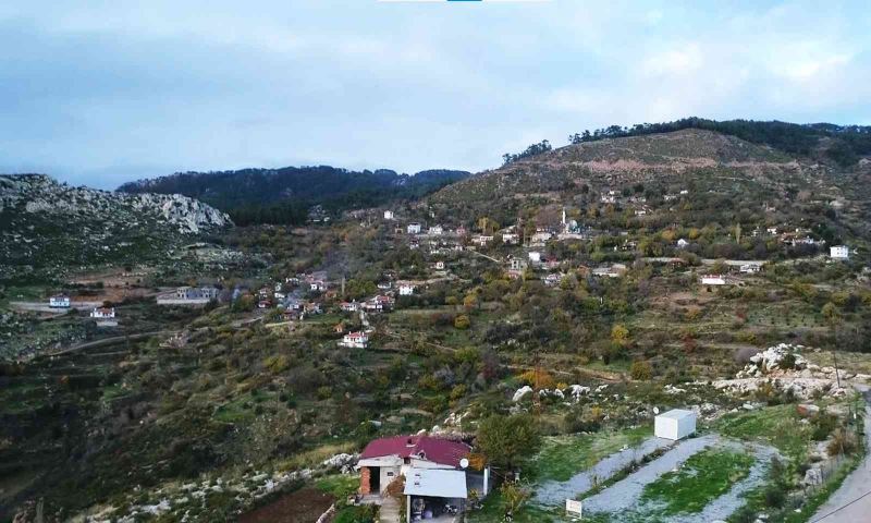 Zeytinköy’ün karası yeşile büründü
