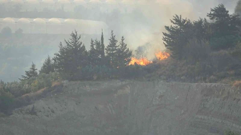 Samandağ’da çıkan bitki örtüsü yangını kürek yardımıyla söndürüldü
