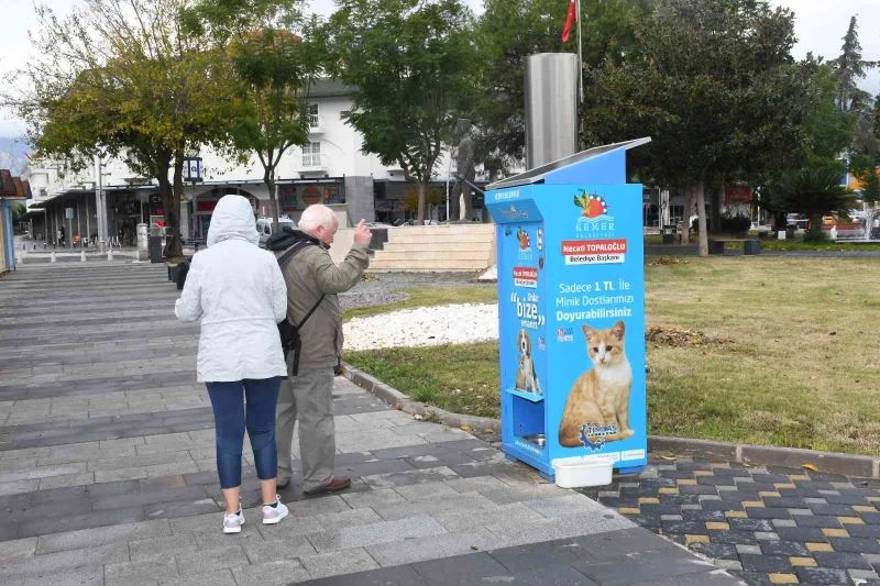 Kemer’de 17 bin 194 sokak hayvanı beslendi
