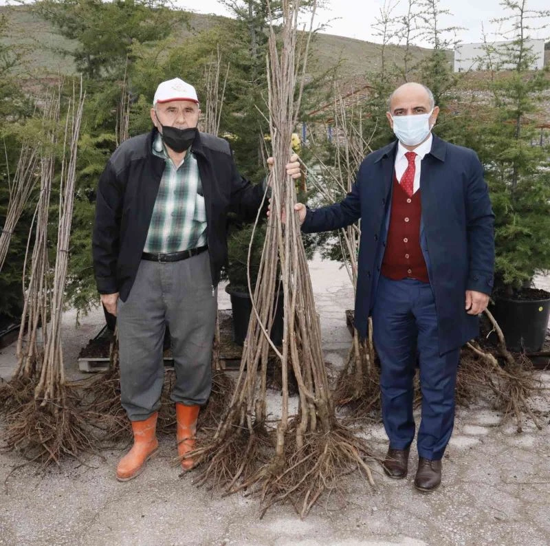 Körfezli çiftçilere 4 bin ceviz ve kiraz fidanı
