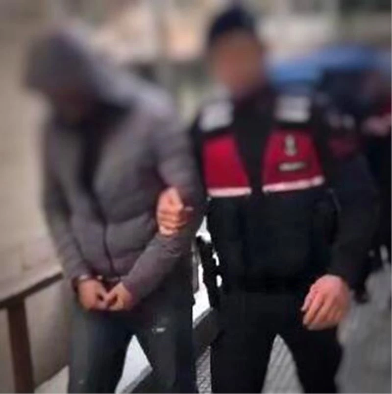 PKK/KCK terör örgütü propagandasına 2 gözaltı
