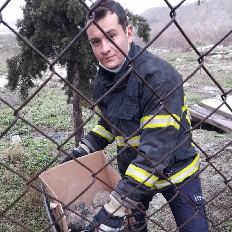 Burdur’da ısınmak için rögara giren yavru köpekler kurtarıldı
