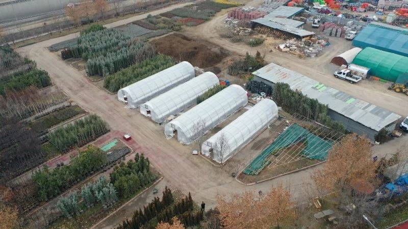 Mamak’ı süsleyecek çiçekler seralarda yetişecek
