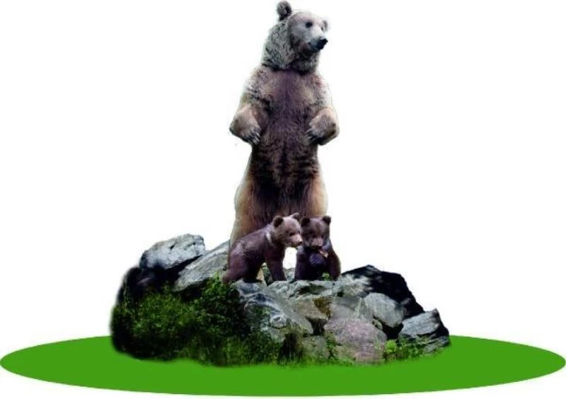 Bolu’da 10 metrelik ayı heykeli vatandaşları ikiye böldü
