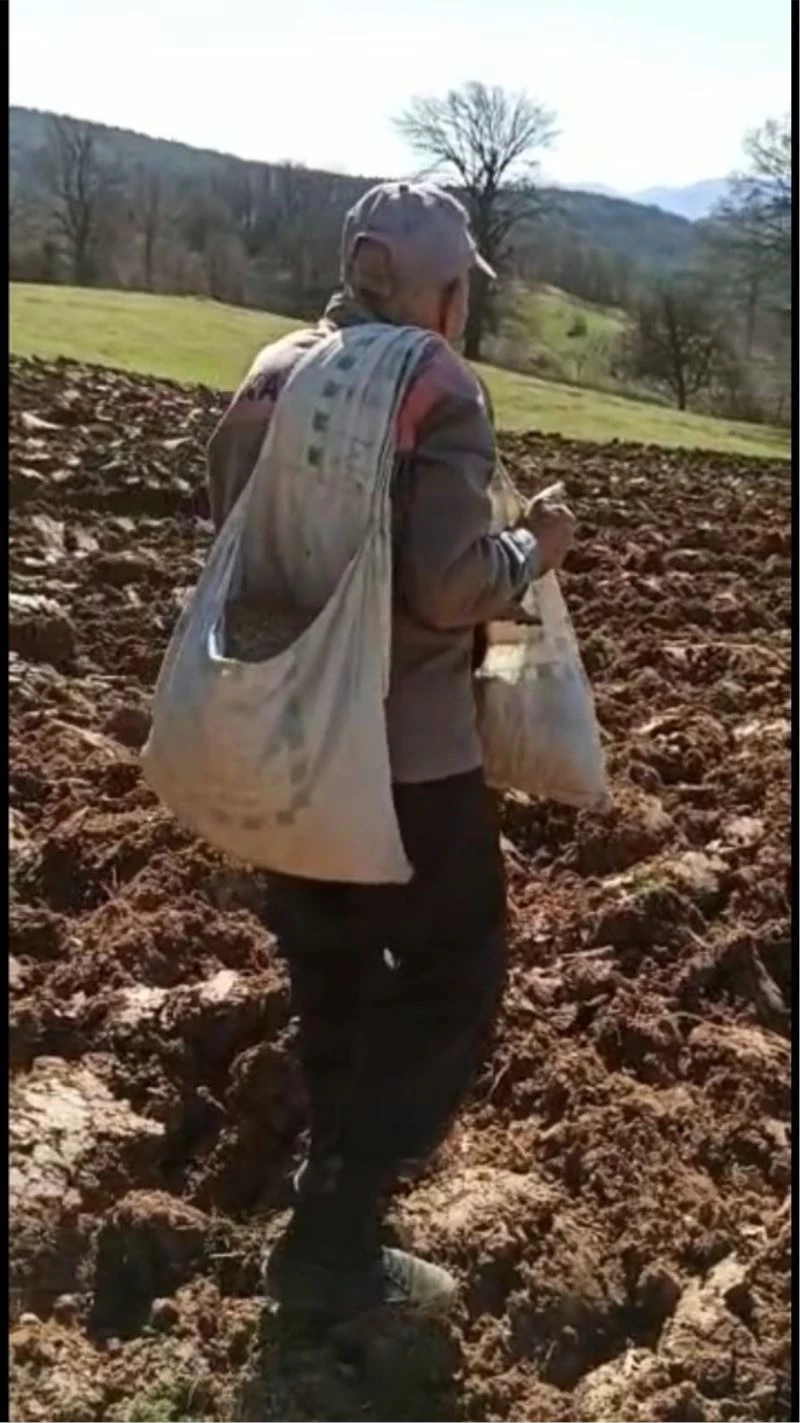 İhtiyar delikanlı traktör kullanmadan çiftçilik yapıyor
