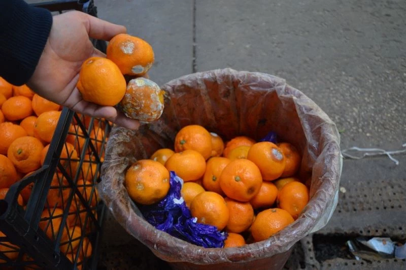Hava ısınınca meyveler çürüdü, manav zor durumda
