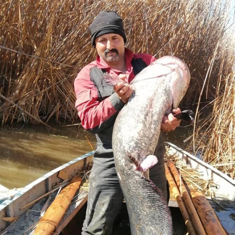 Gölhisar gölünde 35 kg’lık yayın balığı yakalandı
