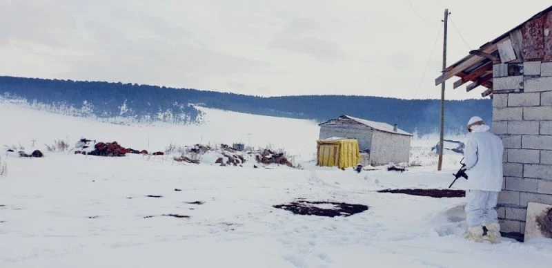 Ardahan’da jandarma teröristlerin barınma ihtimaline karşı yaylaları boş bırakmıyor
