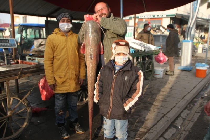 Murat Nehrinde 1,5 metre boyunda balık avladı
