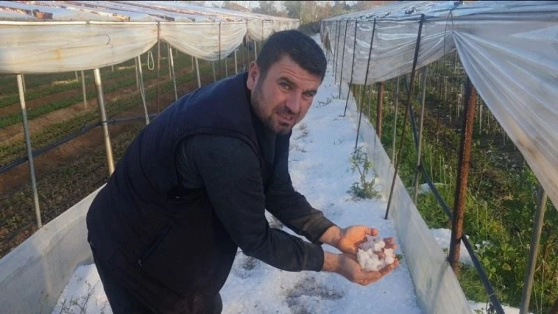 Çeşme’de hortum felaketinin ardından Urla’yı dolu vurdu: Seralar delik deşik
