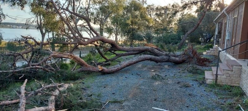 Ayvalık’taki hortumun dehşeti havadan görüntülendi
